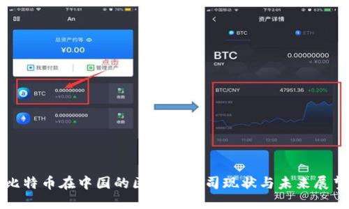 比特币在中国的区块链公司现状与未来展望